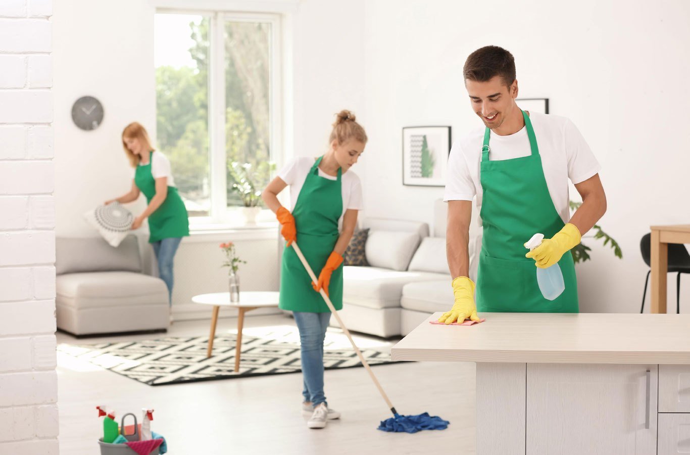 Professional Domestic Help Placement